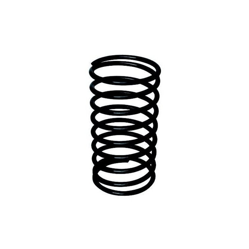 Mercruiser Exhaust Spring 5.0 | Rec24-75619 | Durable Performance Part