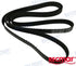 BELT VOLVO PENTA | RM21399021 | BELTS | ORIGINAL PRODUCT