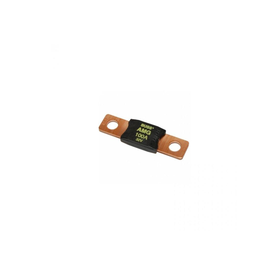 Fuse Mega 100 Amp/32 Volt - Bs5101