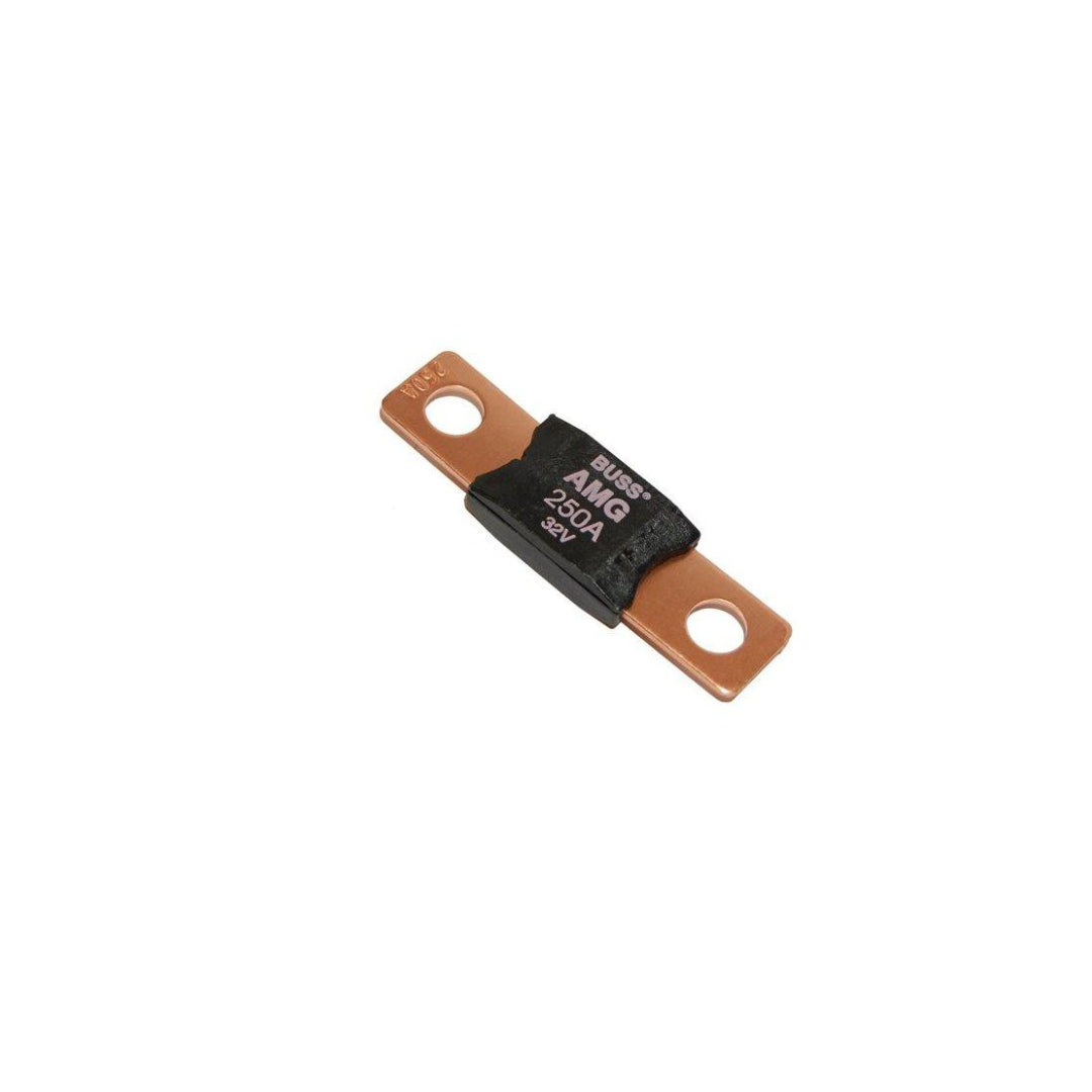 Fuse Mega 250 Amp/32 Volt - Bs5107