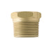 Brass Plug Replacement 3/4” - Cmep3