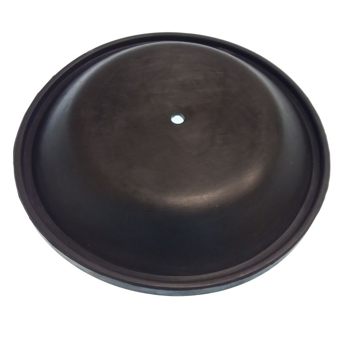 Diaphragm For Gs20030 & Gs20036 - Goldenship Gs20036