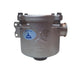Water Filter 1" Brass Cr Gs30747 - Durable Filtration By Maestrini