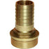 Hose Tail 1.25" X 30M Brass Cr - Gs30842 | Goldenship Brand