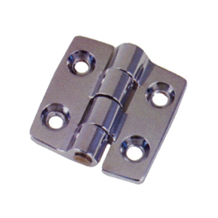 Aisi-316 Butt Hinge 2X2
