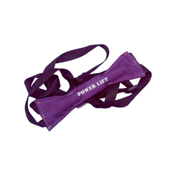 Hoisting Harness Gs73069 For 2-15 Hp Engines - Golden Ship