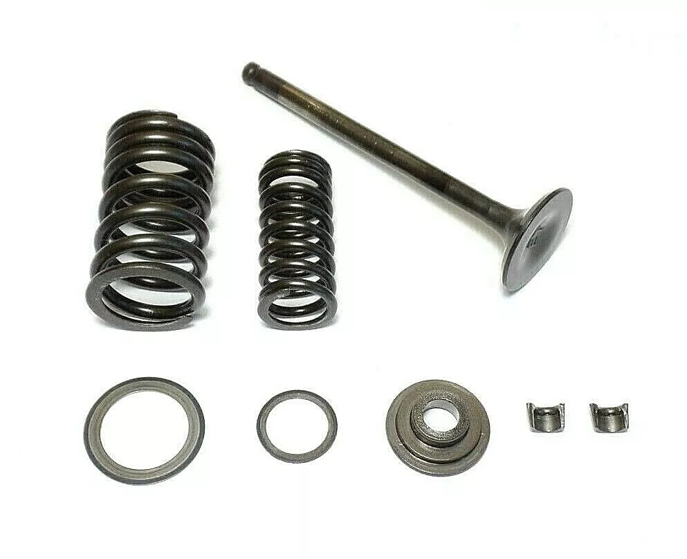 Intake Valve Pa166F-010001 For F6A, F8C, F9.9 Engines - 2.5Cm Size