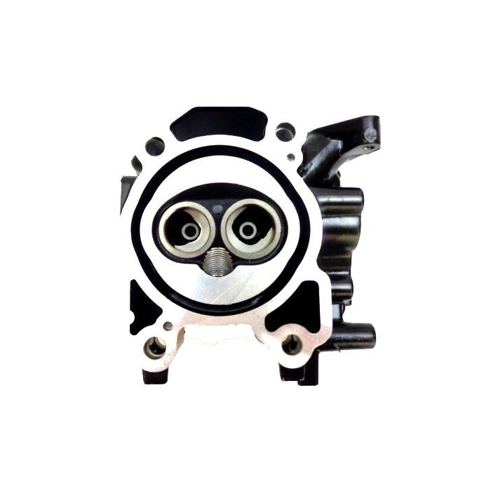 Yamaha Cylinder Head Assembly Paf2.6-04040100 For Parsun Engines
