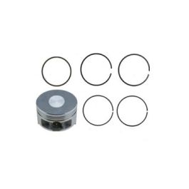Parsun Piston Assembly Paf20-05020300 - Reliable Engine Replacement