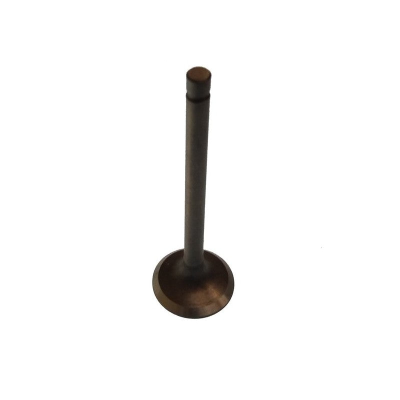 Yamaha Exhaust Valve Paf20-05030002 For Parsun - Durable & Efficient
