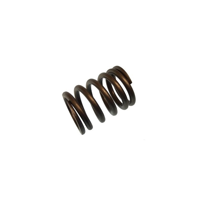 Spring Valve Inner Paf20-05030004 For Parsun - Durable & High-Performance