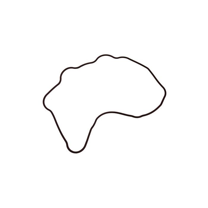 Seal Ring For Parsun Cylinder Head Cover Paf20-05040002