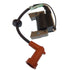 Paf4-04000038 Ignition Winding Assembly For Parsun F4 Engines