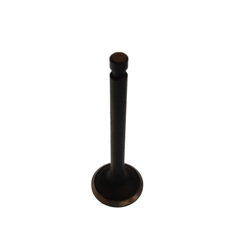 Parsun Exhaust Door Paf4-04080006 - Durable Engine Parts (2 Units)