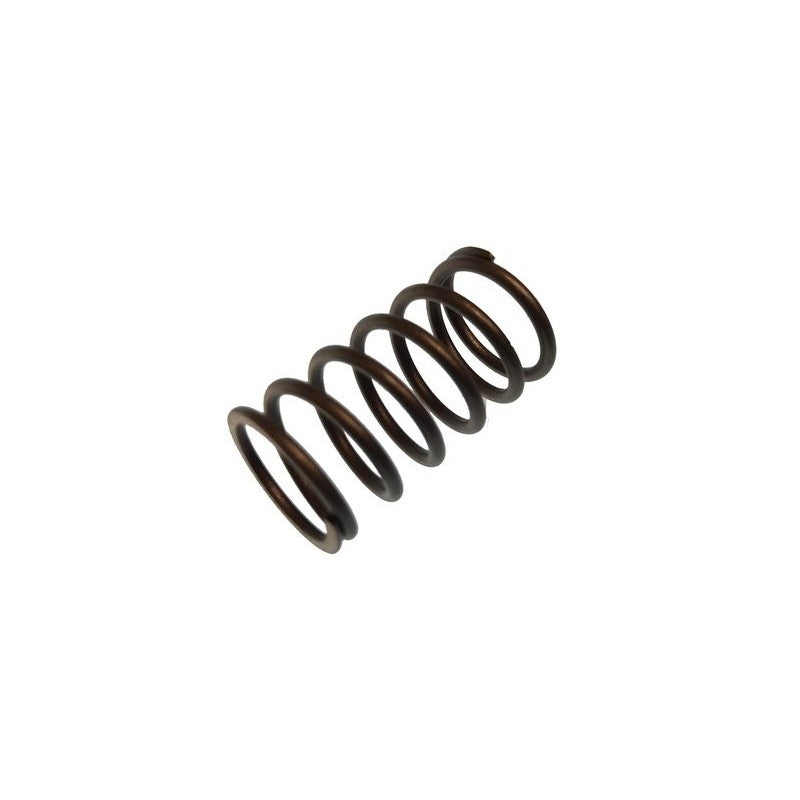Yamaha Valve Stem Spring Paf4-04080008 - Replacement Part For Parsun