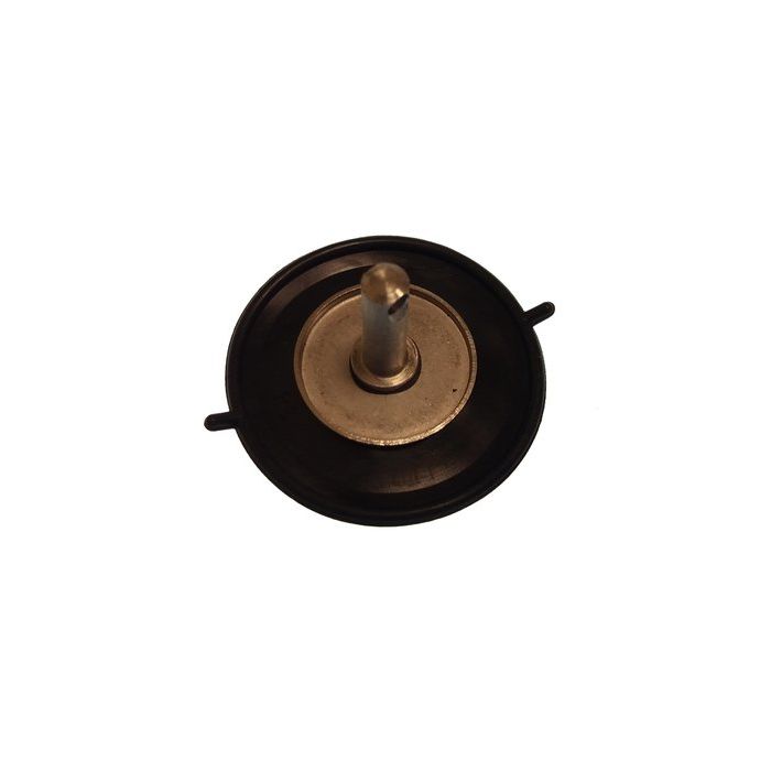 Parsun Paf4-04090100 Diaphragm Assembly - Reliable Replacement Part