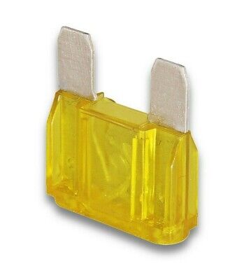 Fuse Wire 20A | Paf40-05001000-2Ei | Parsun Equipment Accessory