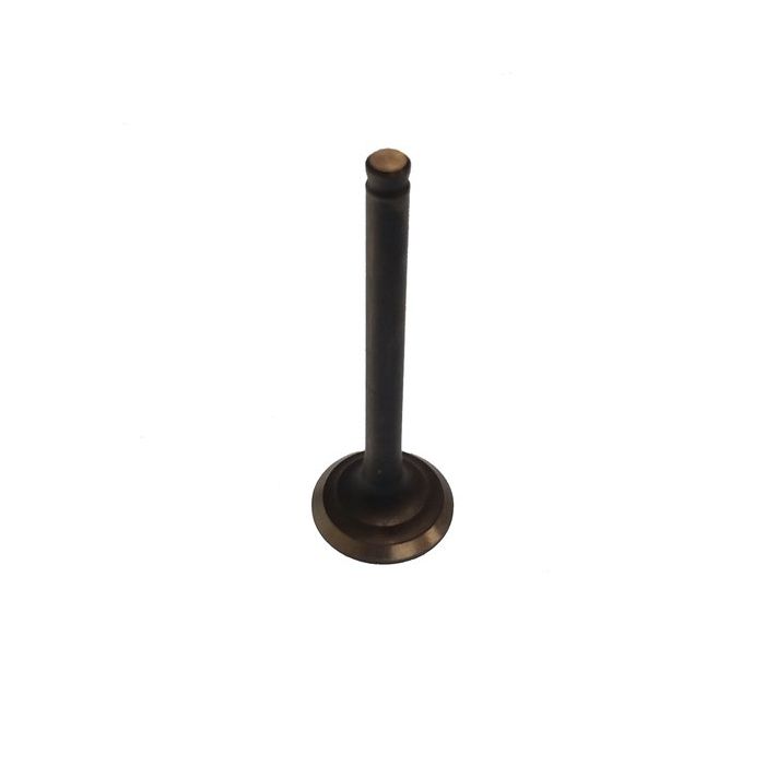 Yamaha Exhaust Valve Paf6-04050002 - Replacement Part For Parsun