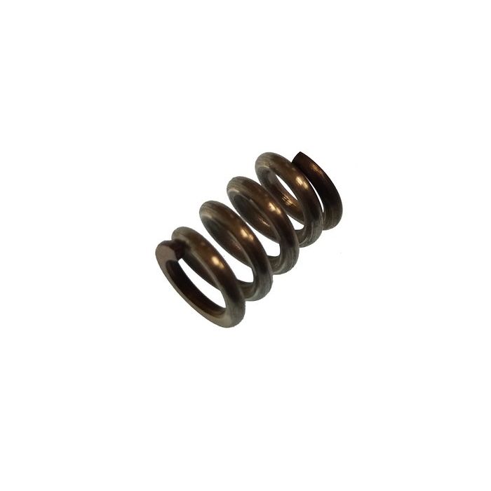 Locking Spring For Parsun Engines Mfs8/Mfs9.8 - Paf8-01010102