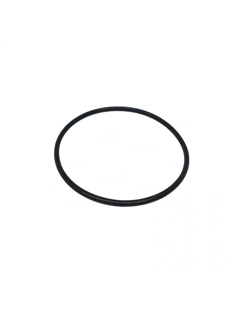 O-Ring 48X2 - Pagb_T3452.H48X2 - Compact & Lightweight Design