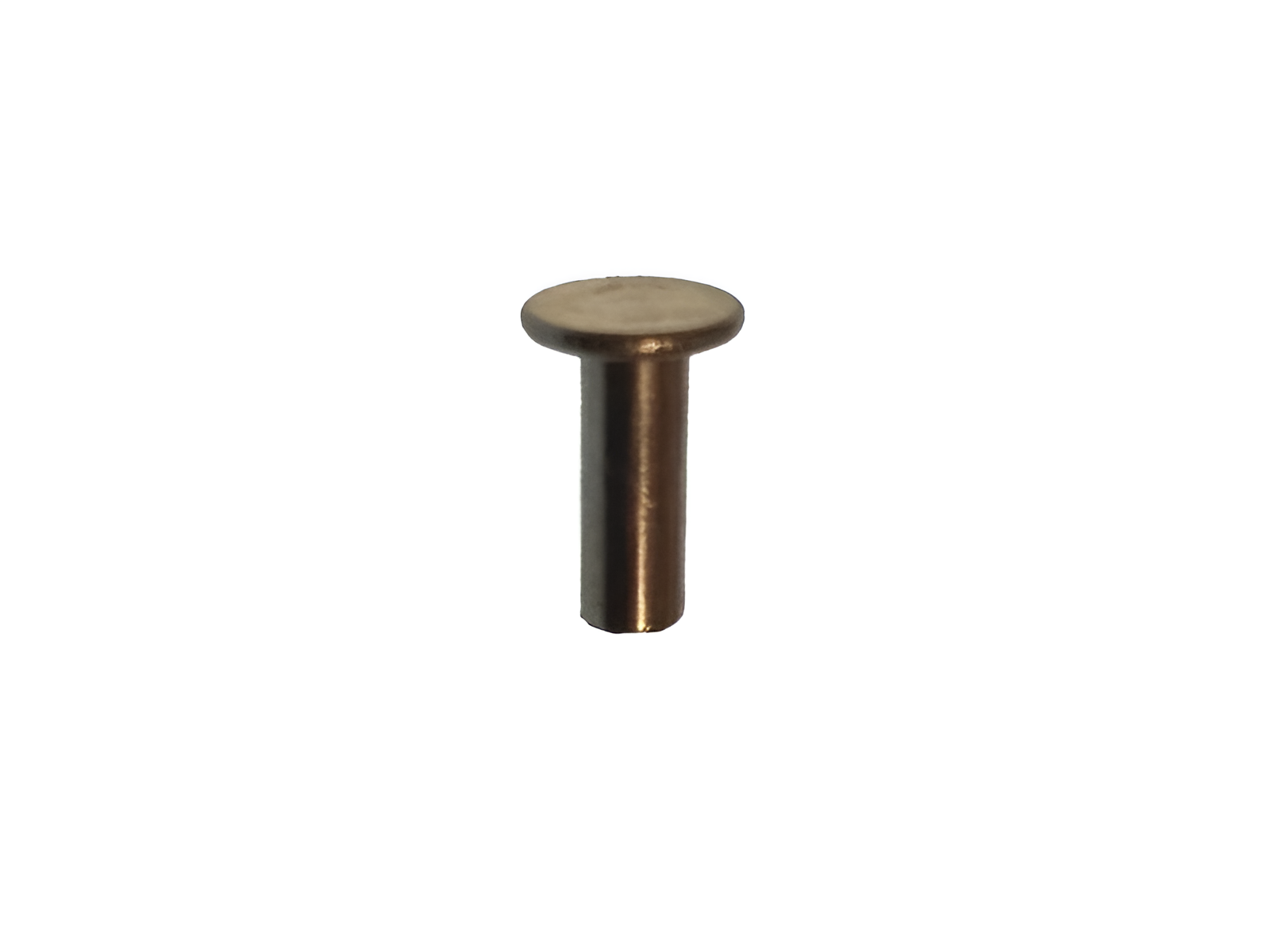 Rivet Portable Compact Product - Pagb_T875-4X11, 0.01 Kg, 10 Cm Wide