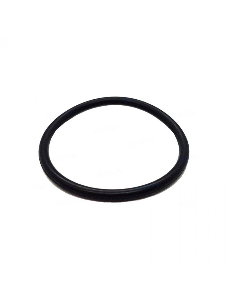 O-Ring 24-031 | Pajasof404-2-24-031 | Durable Sealing Solution