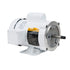 Mtr .5Hp Water Pump 110/230V 50/60Hz Par1519081110