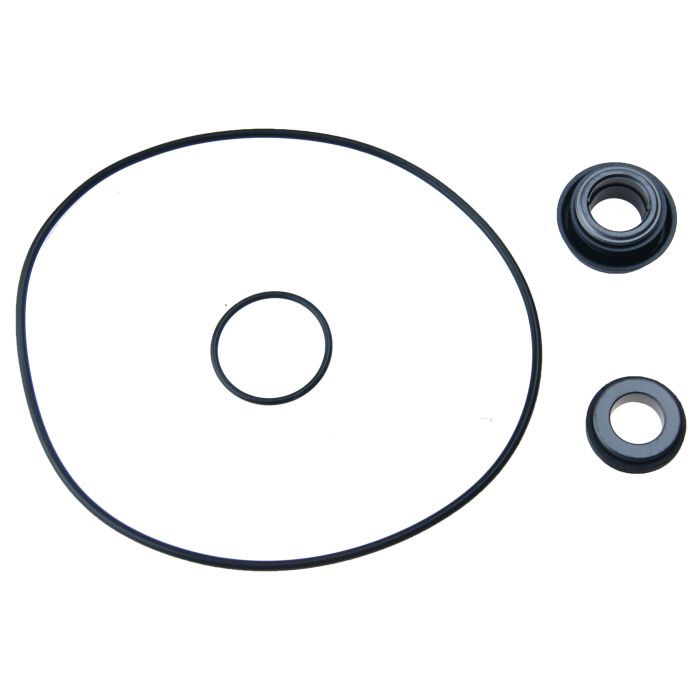 Seal Kit Booster Pmp N200 | Parb655800009 | Water System Component