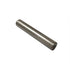 Roller Φ4X21.8G2-2-4 | Pat85-06010705 | Parsun Engine Part