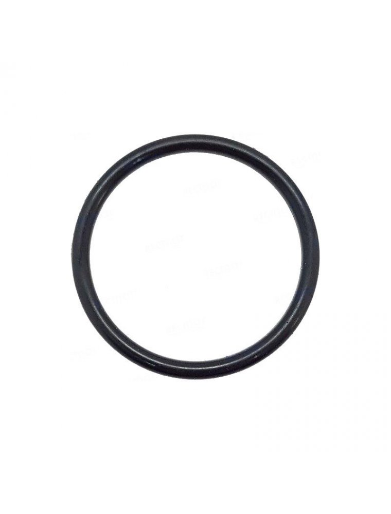 Bombardier Anode O-Ring Rec09280-22019 For Marine Equipment