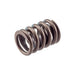 Mercruiser Valve Spring 454 Mkiv/Gen V St | Rec11502 | High-Quality Replacement