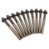 Volvo Penta Cylinder Head Screw Kit Rec1306341 For Aq Models