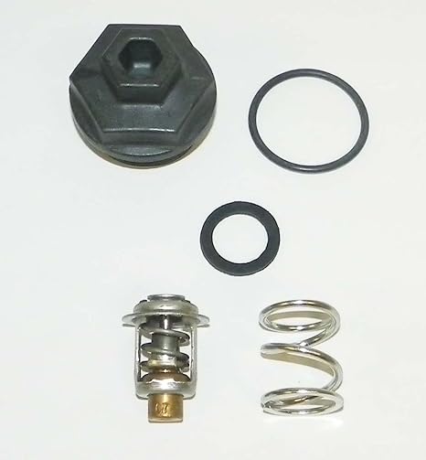 Rec13260 Thermostat Kit For Precise Temperature Control
