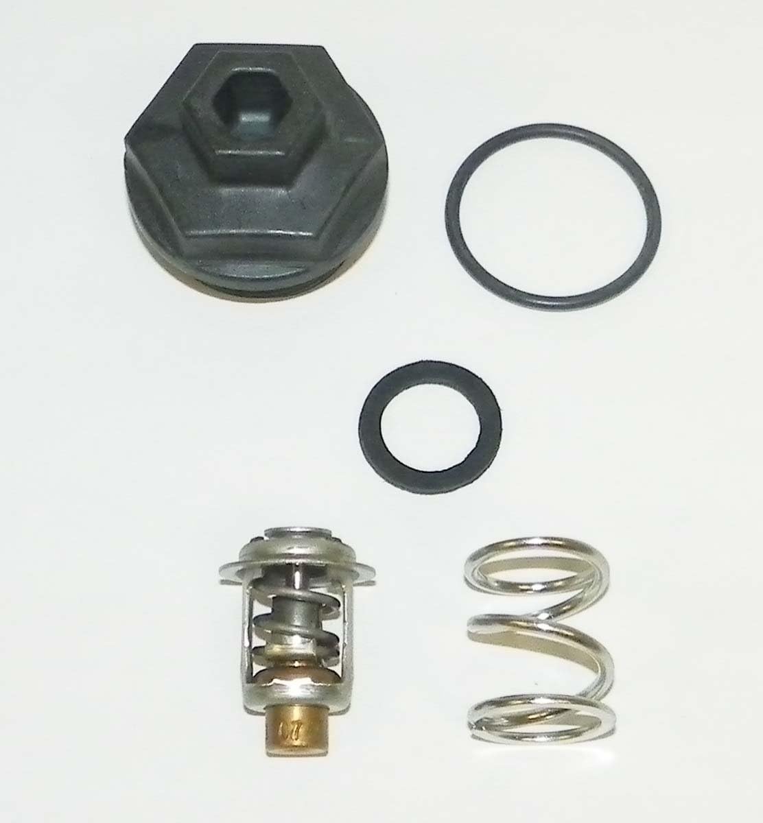 Thermostat Kit Rec13310 | Efficient Temperature Control & Performance