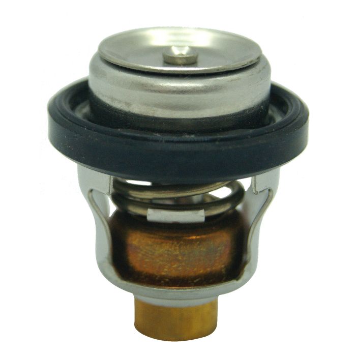 Bombardier Thermostat 60ºC Rec17670-94402 - Precision Temperature Control