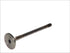 Mercruiser 5.0 Exhaust Valve Rec3853731 | Durable Marine Engine Part
