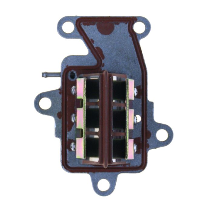 Yamaha Intake Valve Assembly Rec63W-13610-00 For Parsun 9.9/15 Hp