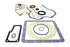 Volvo Penta Gasket Kit Rec876381 For Engine Md5A, B - Reliable Seal