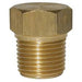 Plug Brass Anode Onan - Ten02031Tp | Tecnoseal Anodes
