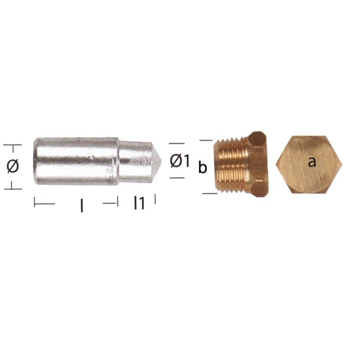 Zinc Anode Lombardini W/Tap Ten02351T - Corrosion Protection