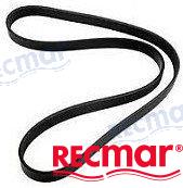 V-BELT | REC3850268 | BELTS | RECMAR