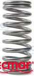 VALVE SPRING | REC1545198 | VALVE | RECMAR