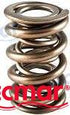 VALVE SPRING | REC21310068 | VALVE | RECMAR